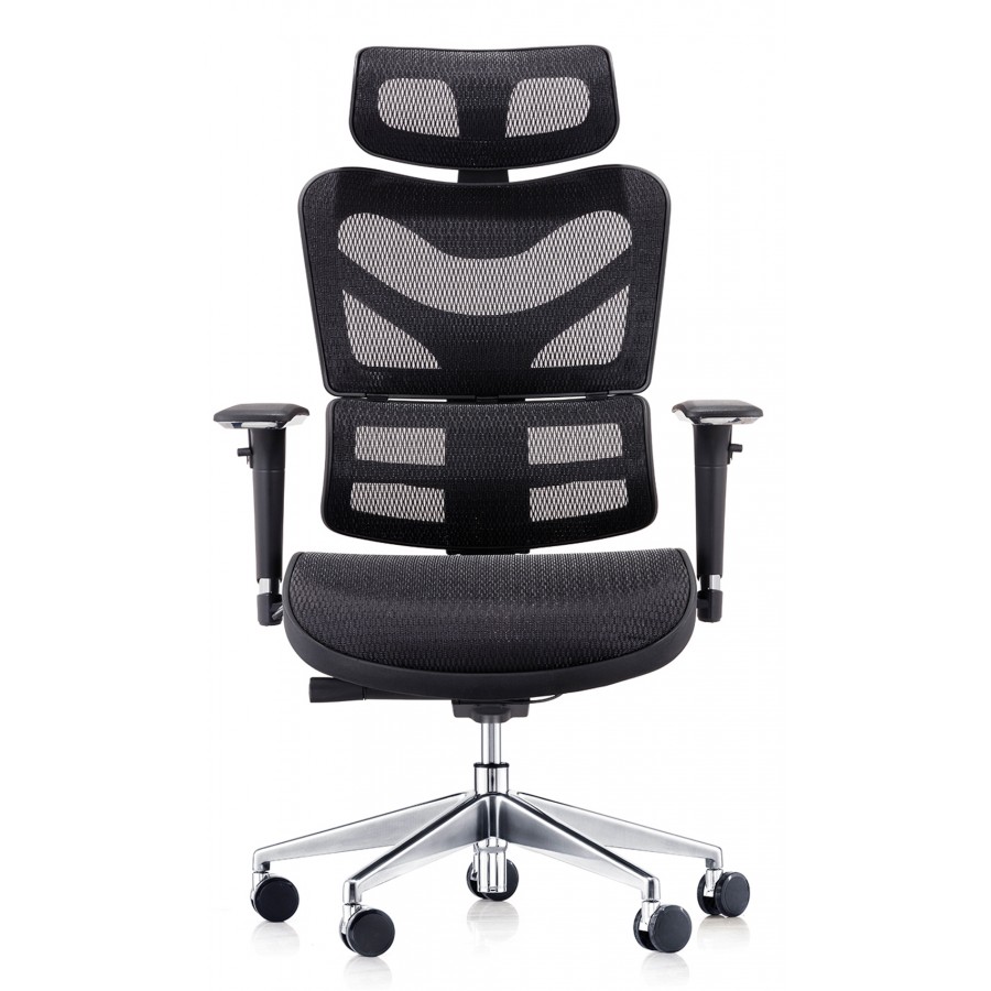 Delta 24 Hour Ergonomic Posture Mesh Office Chair